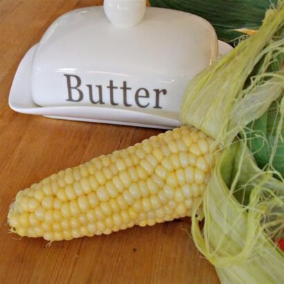 Microwave Corn on the Cob in the Husk Recipe